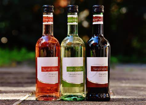 Wine and Food Pairing: A Delicious Combination